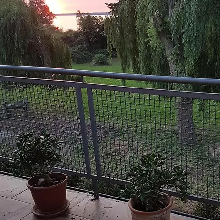 Apartment Haus Mueritz, 11 Fischadler