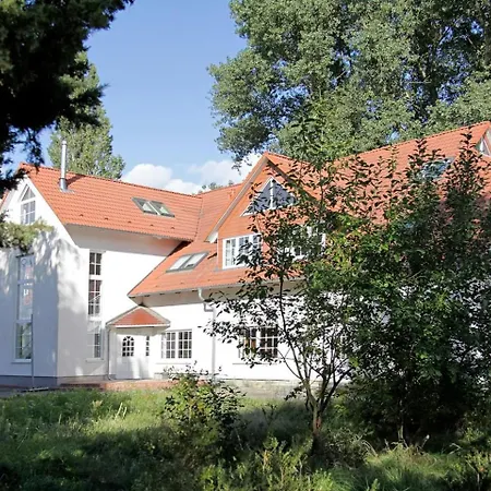 Haus Mueritz, 11 Fischadler *